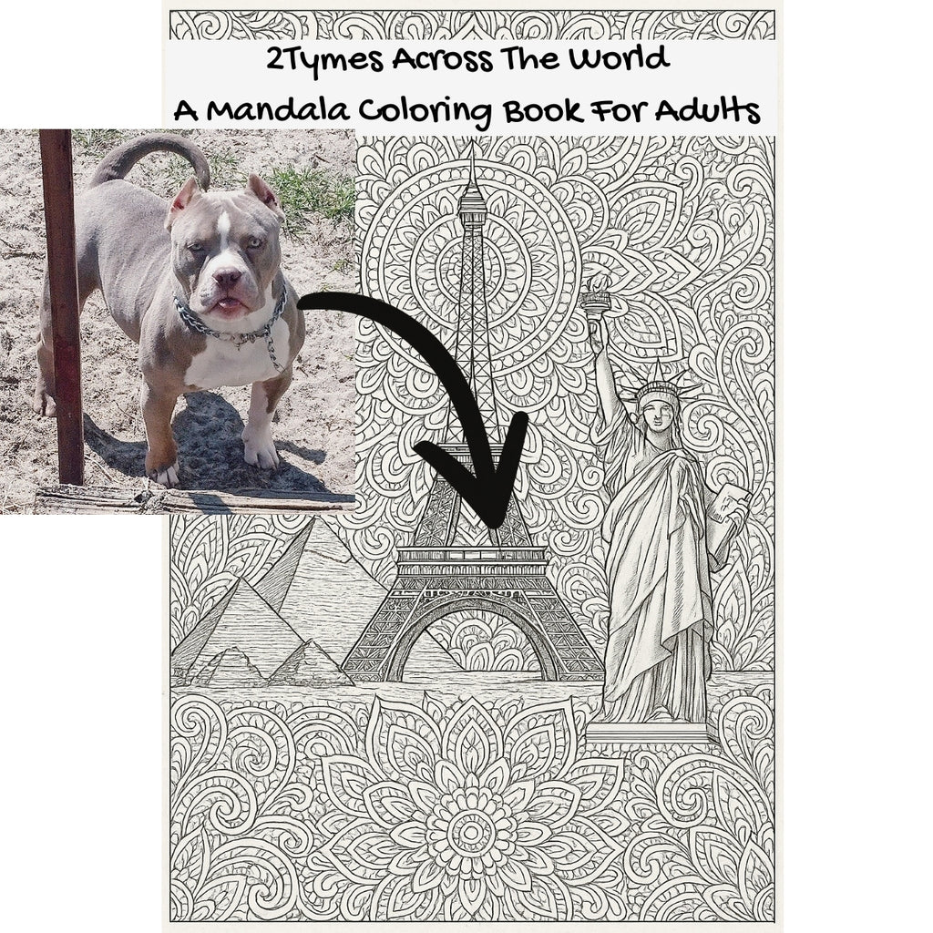2Tymes Across The World: A Mandala Coloring Book For Adults