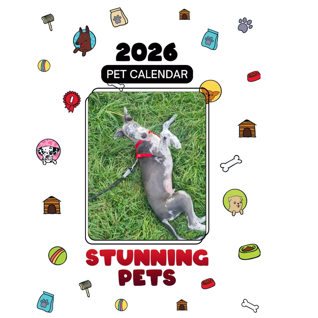 4Month Ild Whhippet Puppy Headlines Stunning Pets: A 2026 Pet Calendar