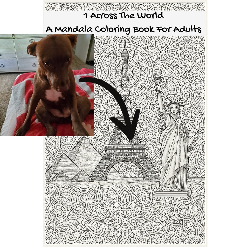 1 Across The World: A Mandala Coloring Book For Adults