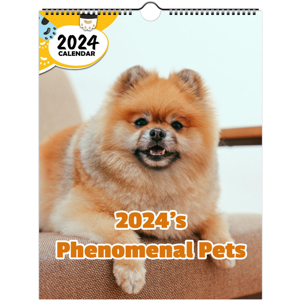 2024's Phenomenal Pets: 2024 Wall Calendar (Published)