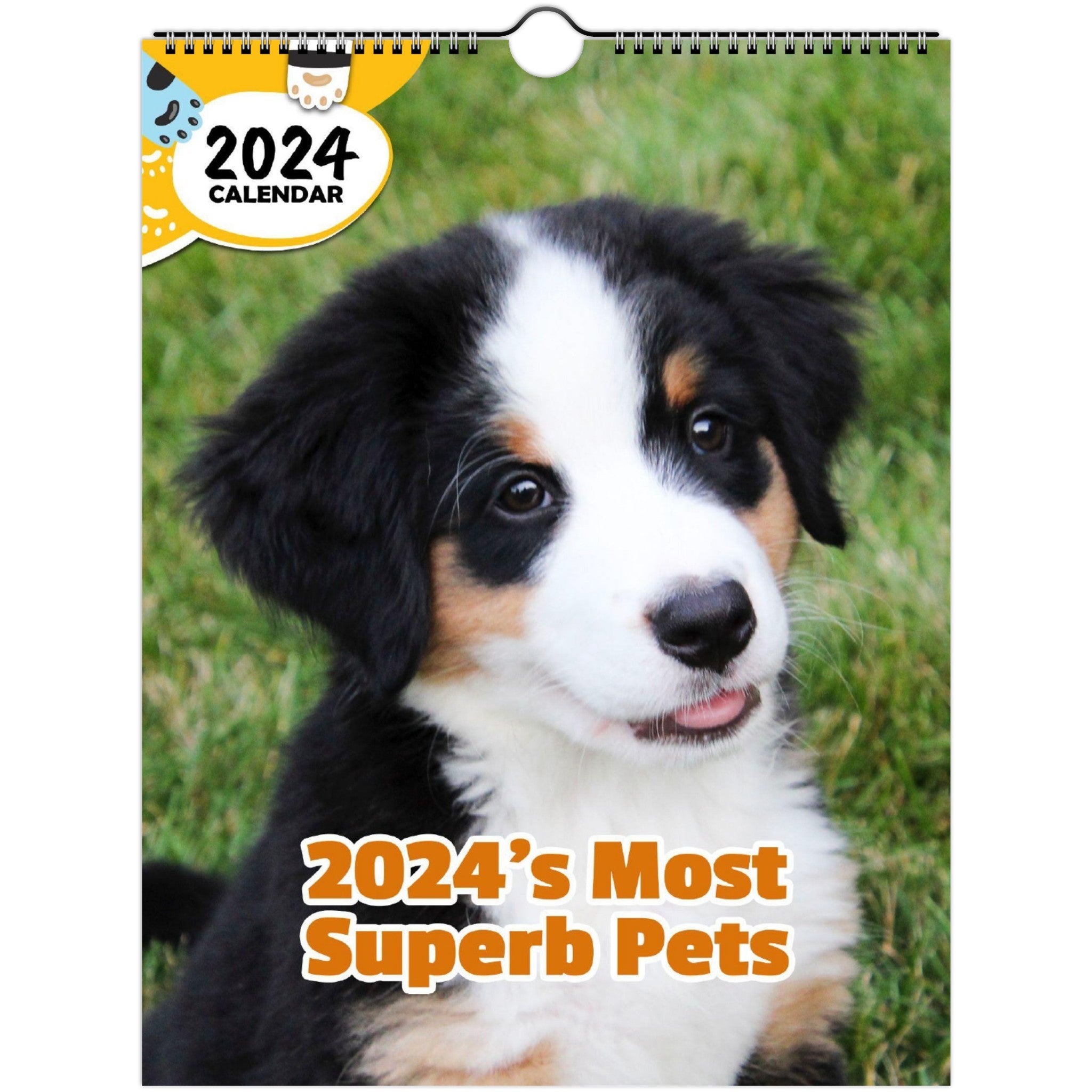 2024's Most Superb Pets: 2024 Wall Calendar (Published)