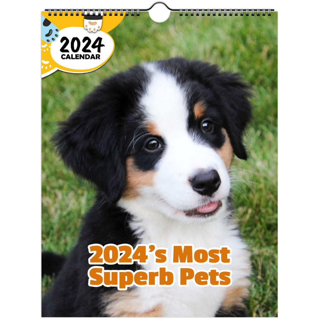 2024's Most Superb Pets: 2024 Wall Calendar (Published)