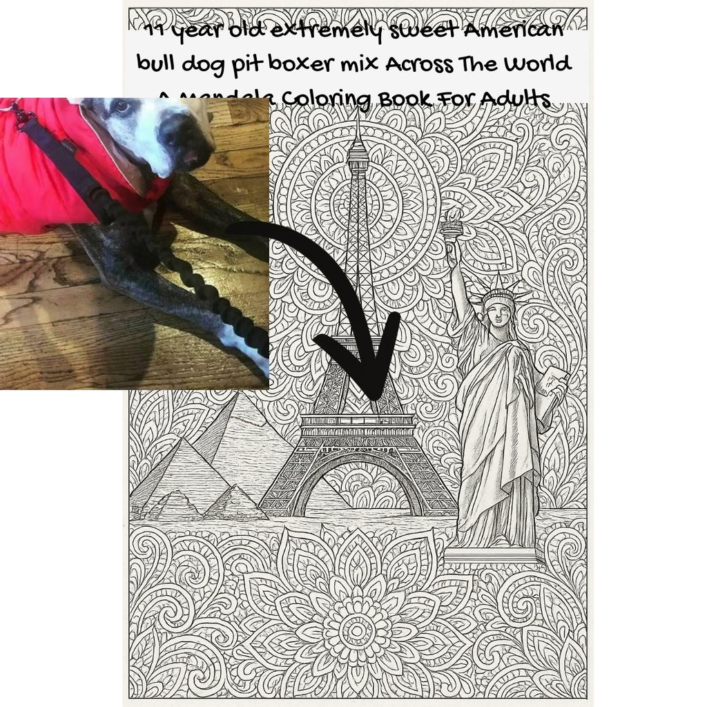 11 year old extremely sweet American bull dog pit boxer mix Across The World: A Mandala Coloring Book For Adults
