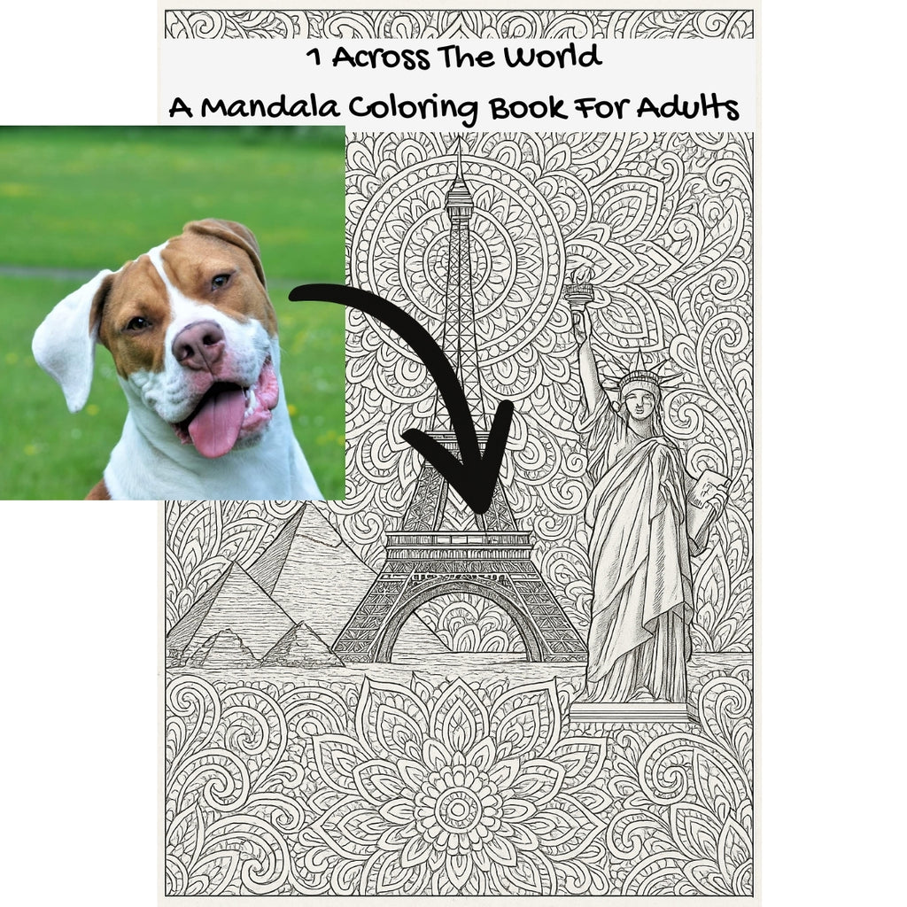 1 Across The World: A Mandala Coloring Book For Adults