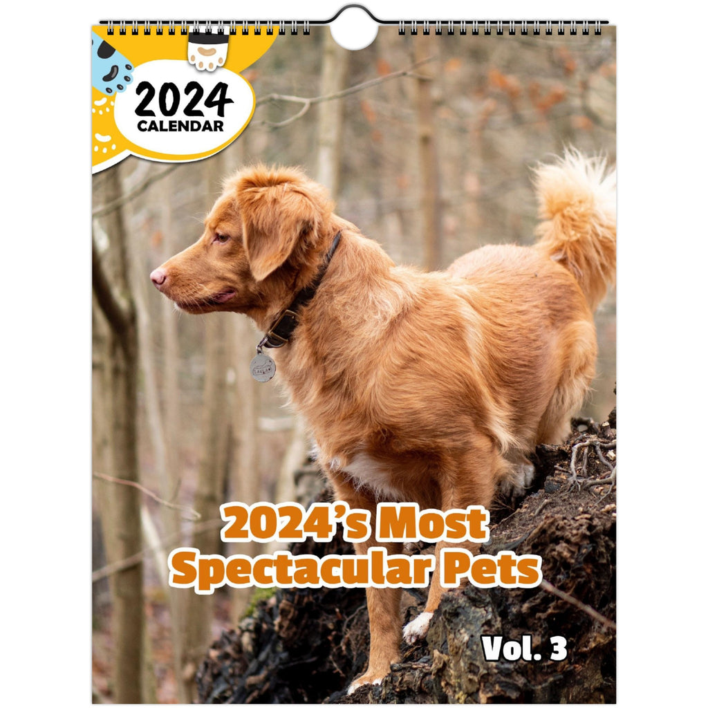 2024's Most Spectacular Pets Volume Three: 2024 Wall Calendar (Published)