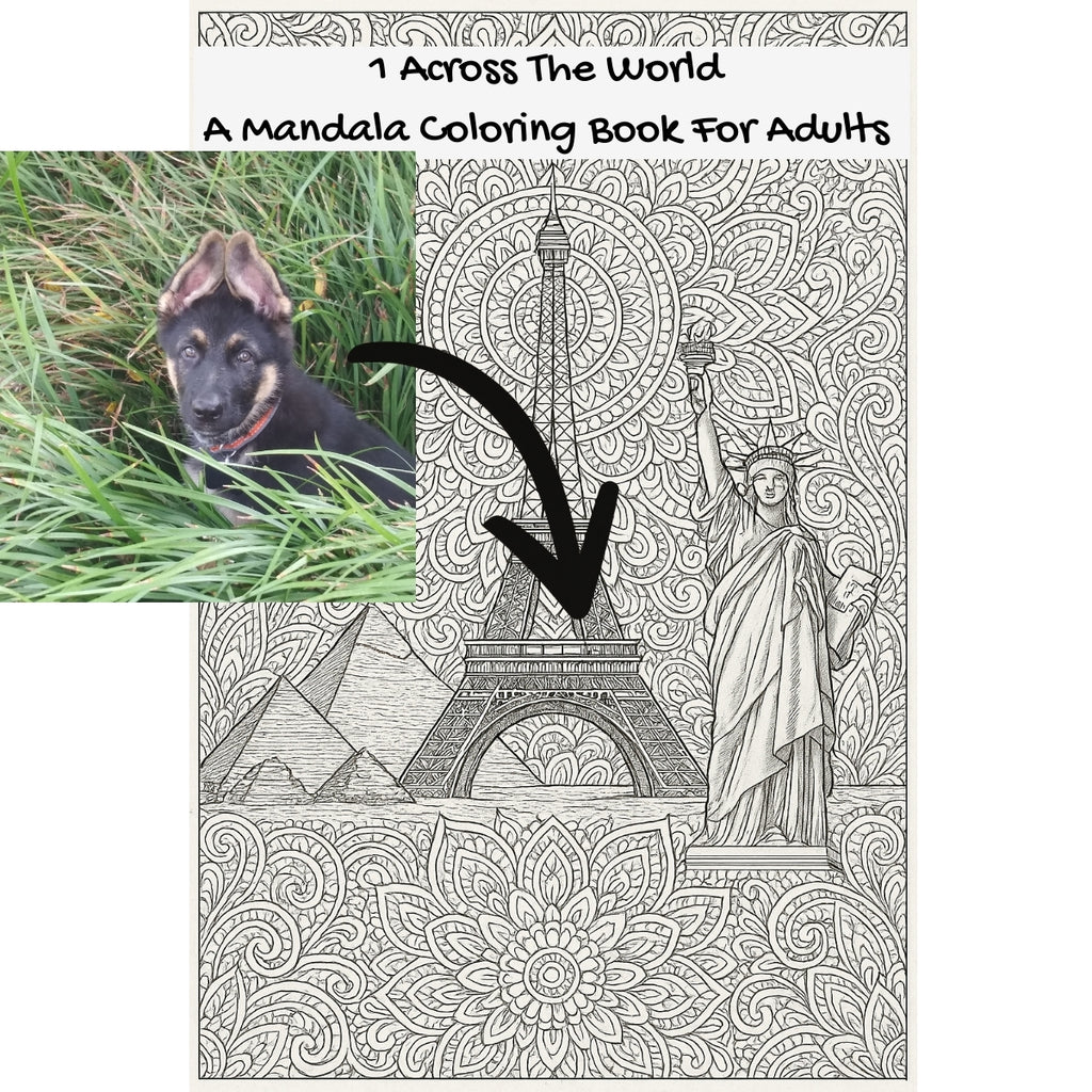 1 Across The World: A Mandala Coloring Book For Adults