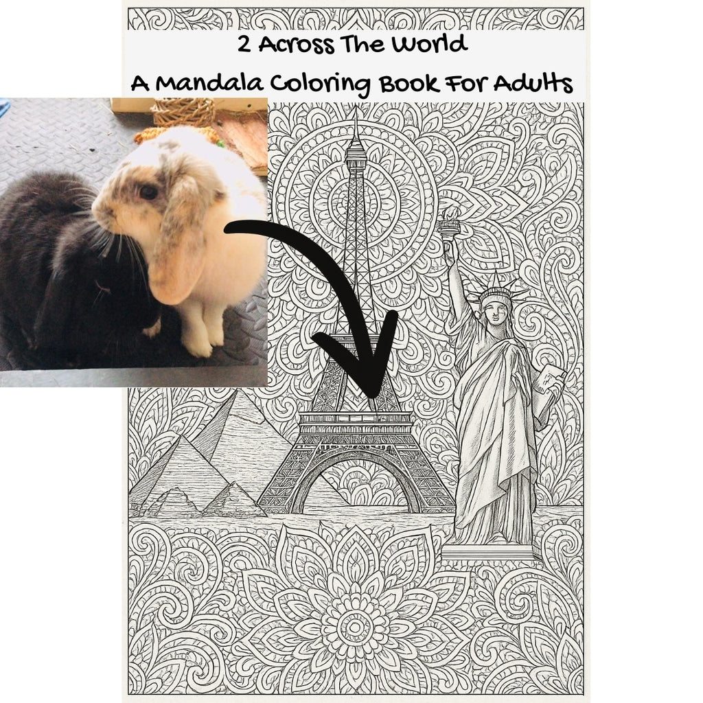 2 Across The World: A Mandala Coloring Book For Adults