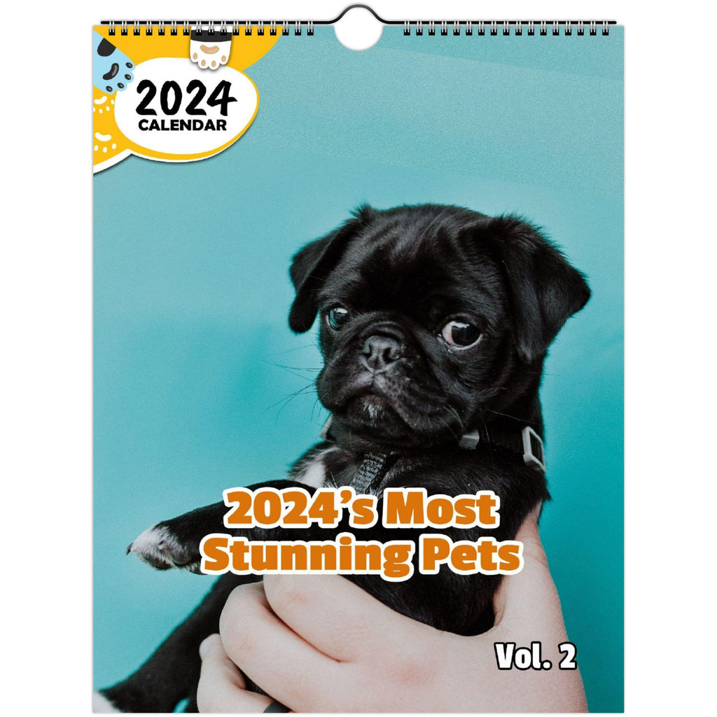 2024's Most Stunning Pets Volume Two: 2024 Wall Calendar (Published)