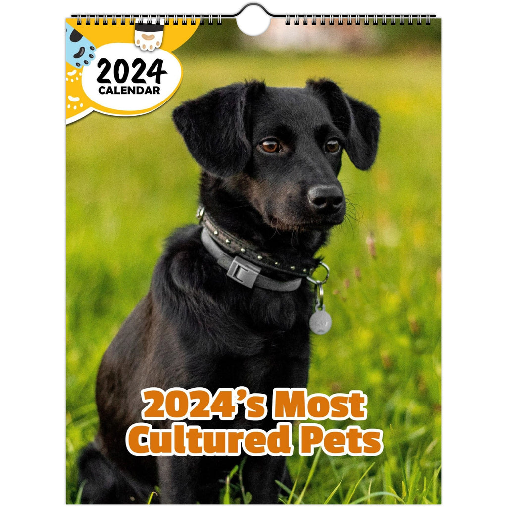 2024's Most Cultured Pets: 2024 Wall Calendar (Published)