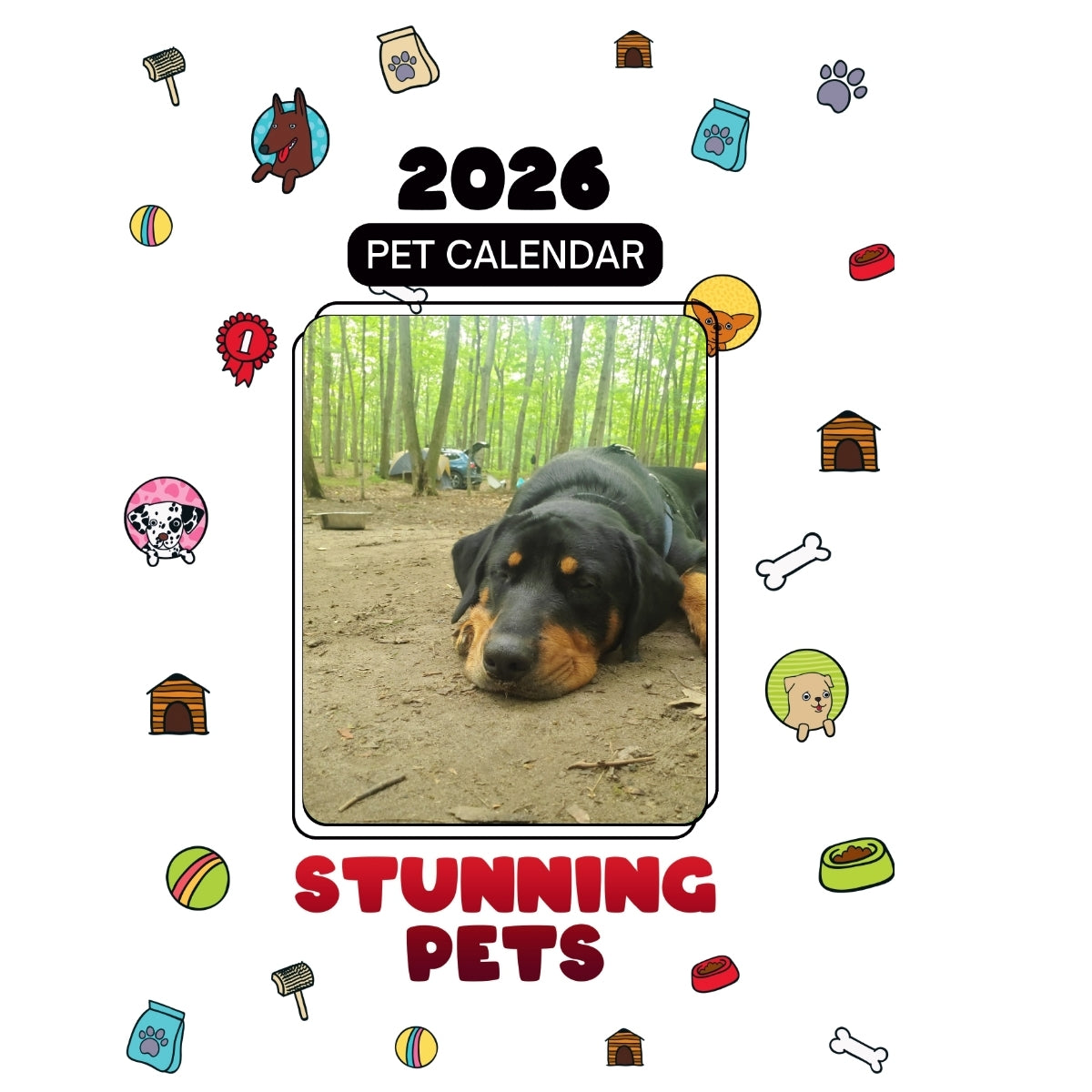 1 Headlines Stunning Pets: A 2026 Pet Calendar