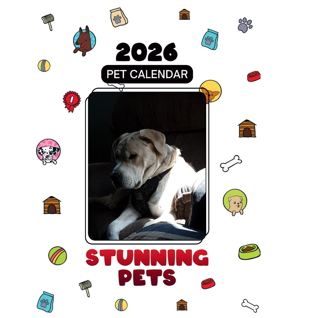 7 Headlines Stunning Pets: A 2026 Pet Calendar