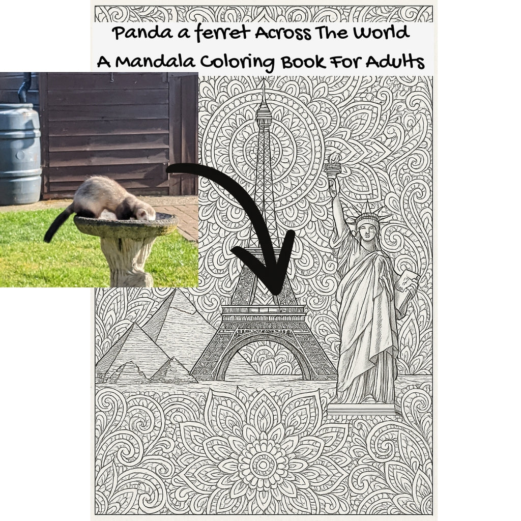 Panda a ferret Across The World: A Mandala Coloring Book For Adults