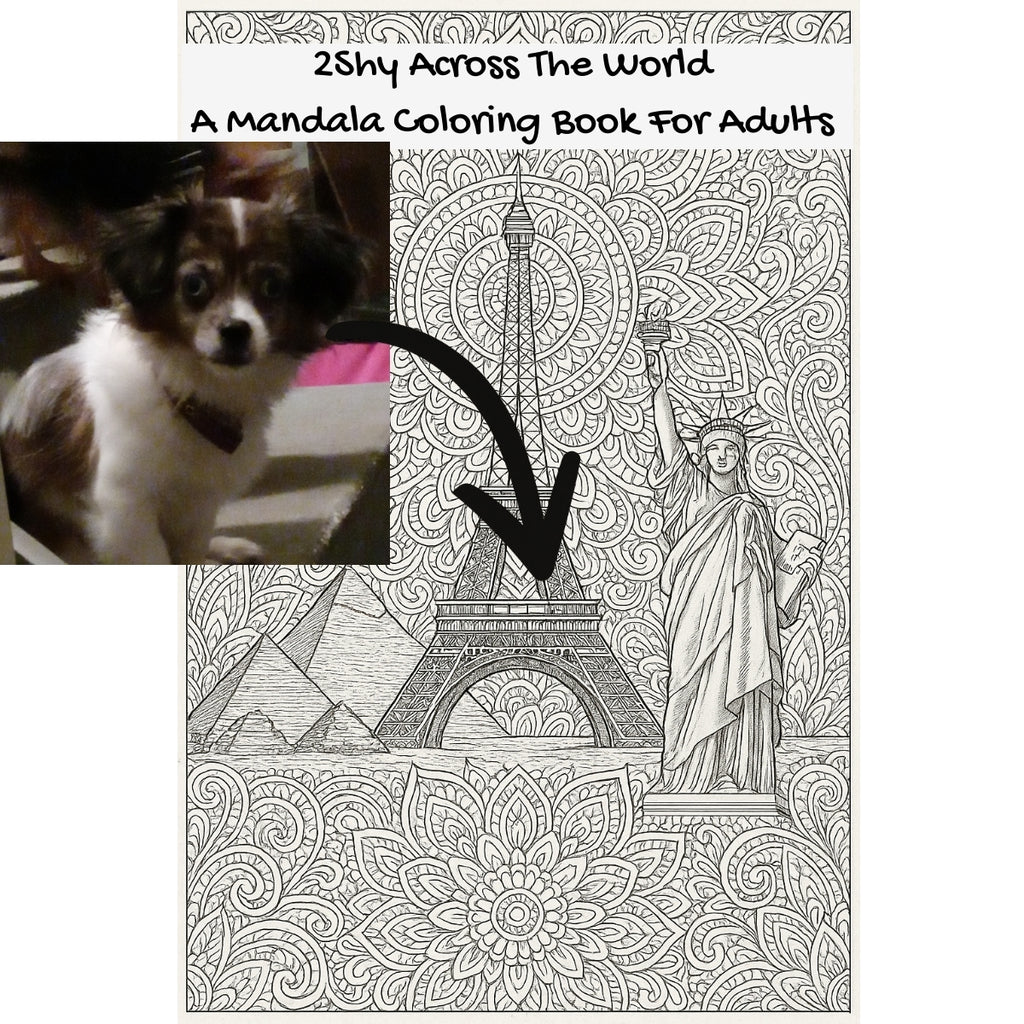 2Shy Across The World: A Mandala Coloring Book For Adults