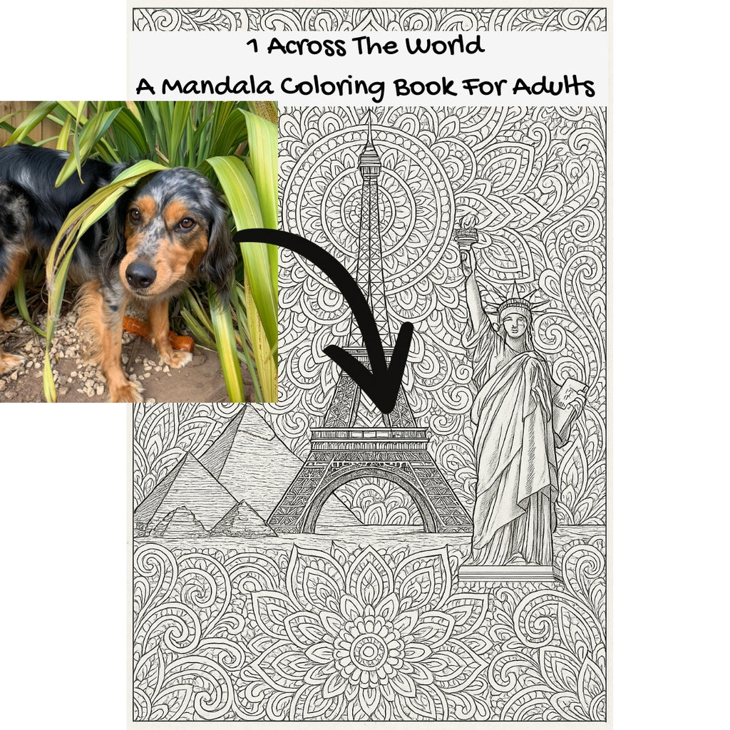 1 Across The World: A Mandala Coloring Book For Adults