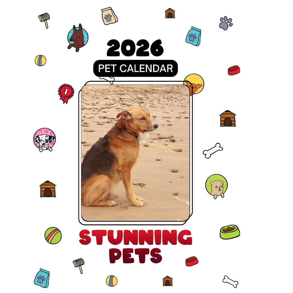 1 Headlines Stunning Pets: A 2026 Pet Calendar