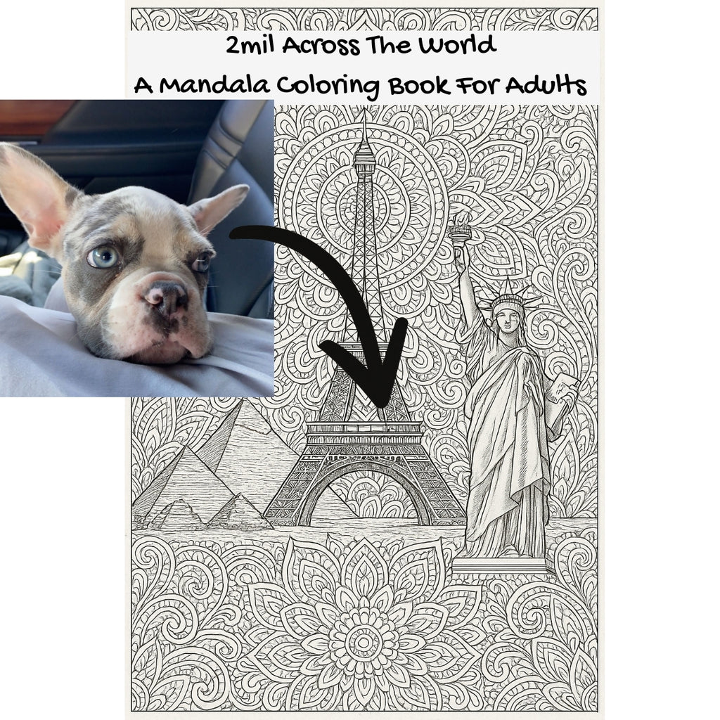 2mil Across The World: A Mandala Coloring Book For Adults