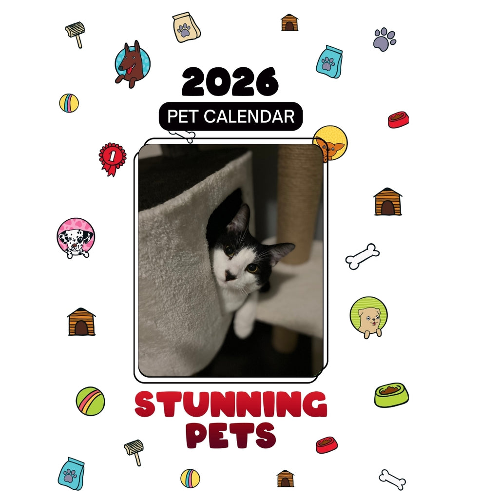 #Benthetuxedocat Headlines Stunning Pets: A 2026 Pet Calendar