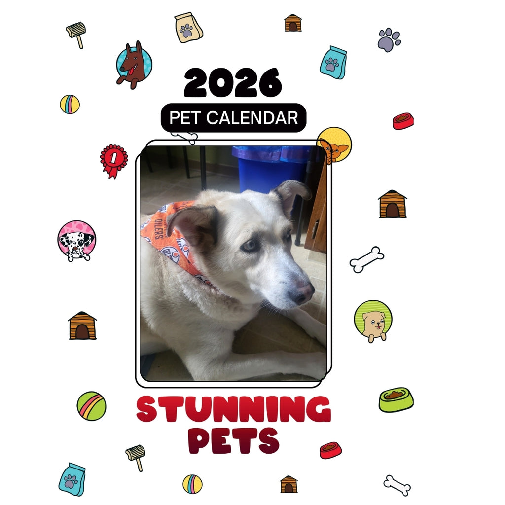 1 Headlines Stunning Pets: A 2026 Pet Calendar