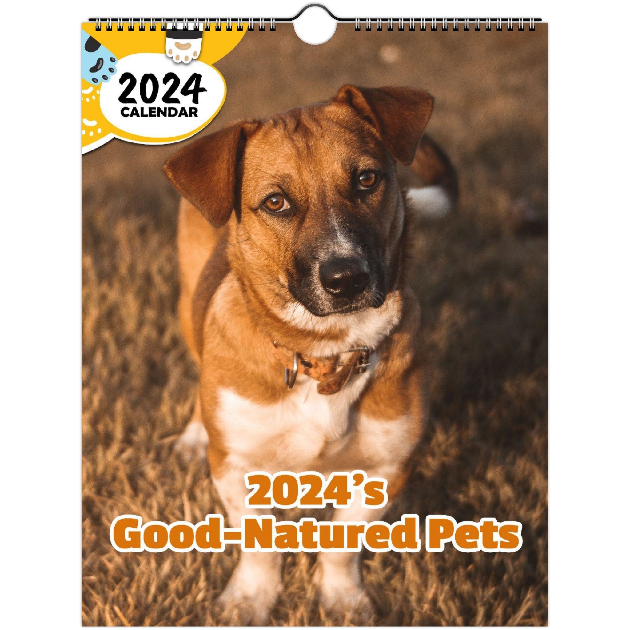 2024's Good-Natured Pets: 2024 Wall Calendar (Published)
