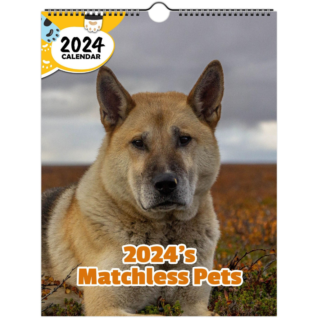 2024's Matchless Pets: 2024 Wall Calendar (Published)