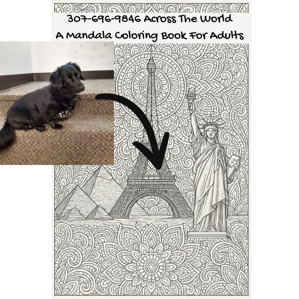 307-696-9846 Across The World: A Mandala Coloring Book For Adults