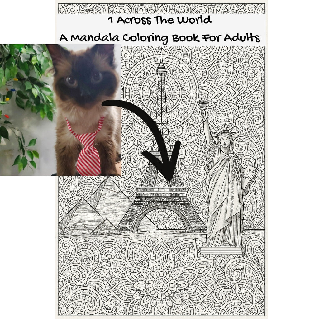 1 Across The World: A Mandala Coloring Book For Adults