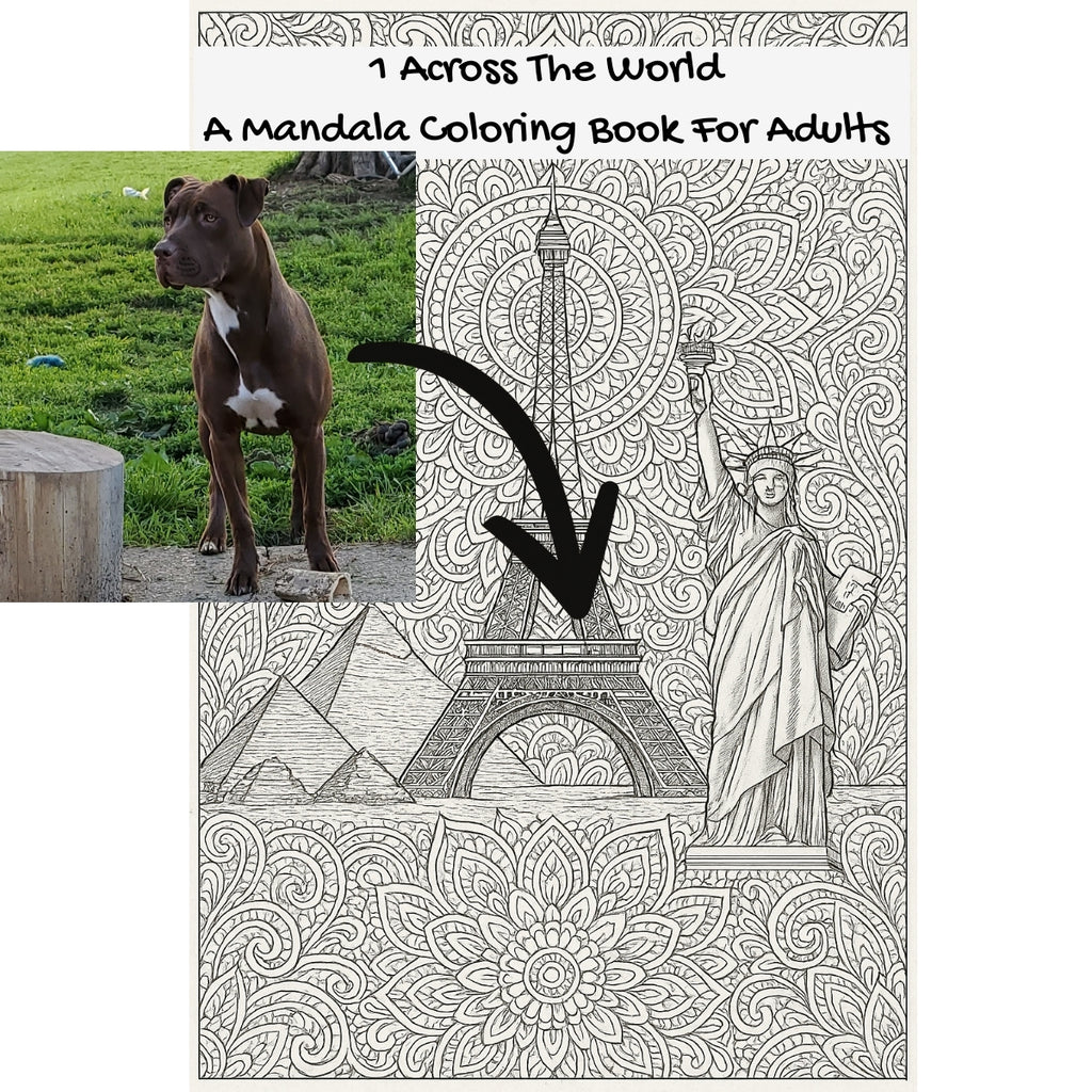 1 Across The World: A Mandala Coloring Book For Adults