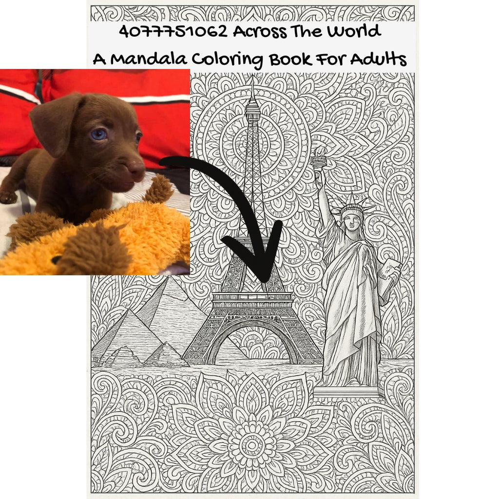 4077751062 Across The World: A Mandala Coloring Book For Adults