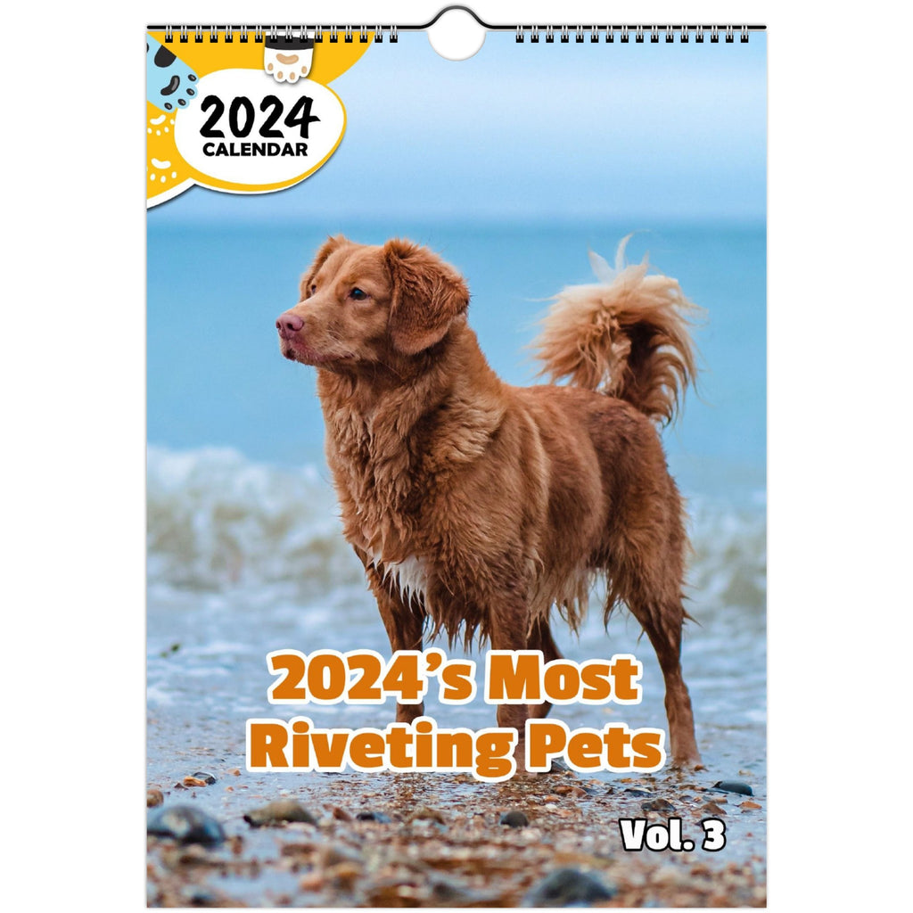 2024's Most Riveting Pets Volume Three: 2024 Wall Calendar (Published)
