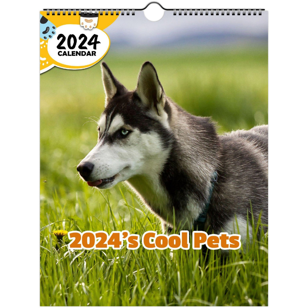 2024's Cool Pets: 2024 Wall Calendar (Published)