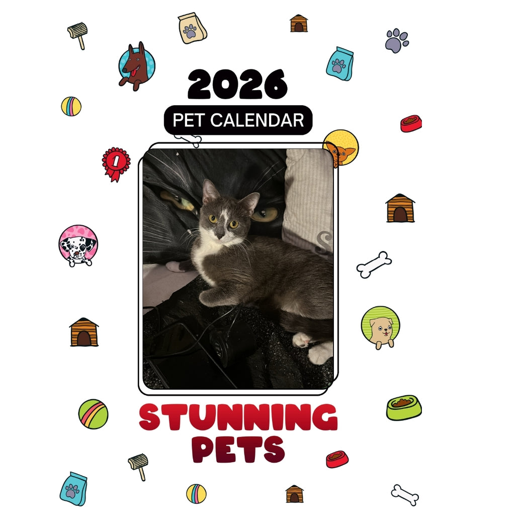 7even Stars in Stunning Pets: A 2026 Pet Calendar