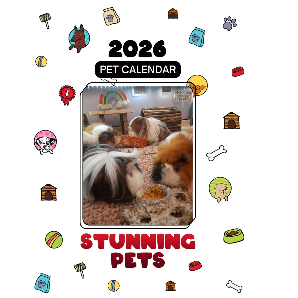 Guinea pigs Headlines Stunning Pets: A 2026 Pet Calendar