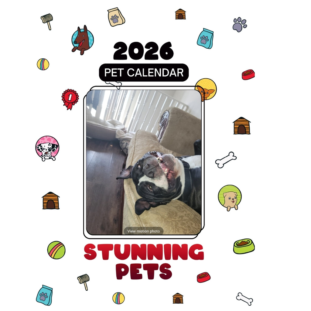 American Bulldog Headlines Stunning Pets: A 2026 Pet Calendar