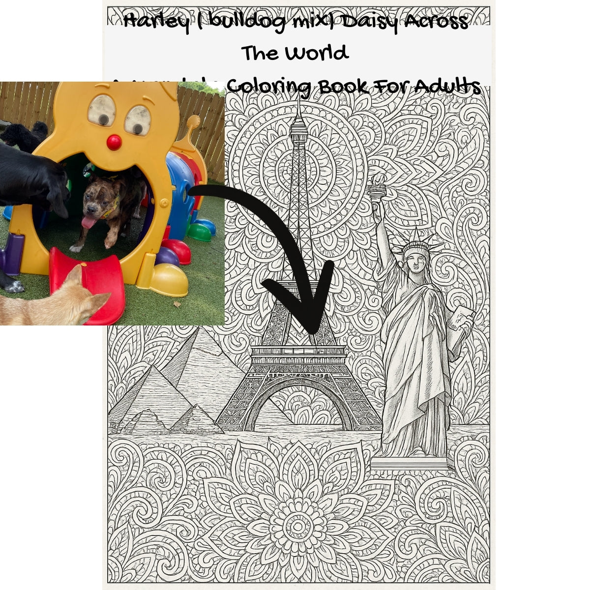 Harley ( bulldog mix) Daisy Across The World: A Mandala Coloring Book For Adults