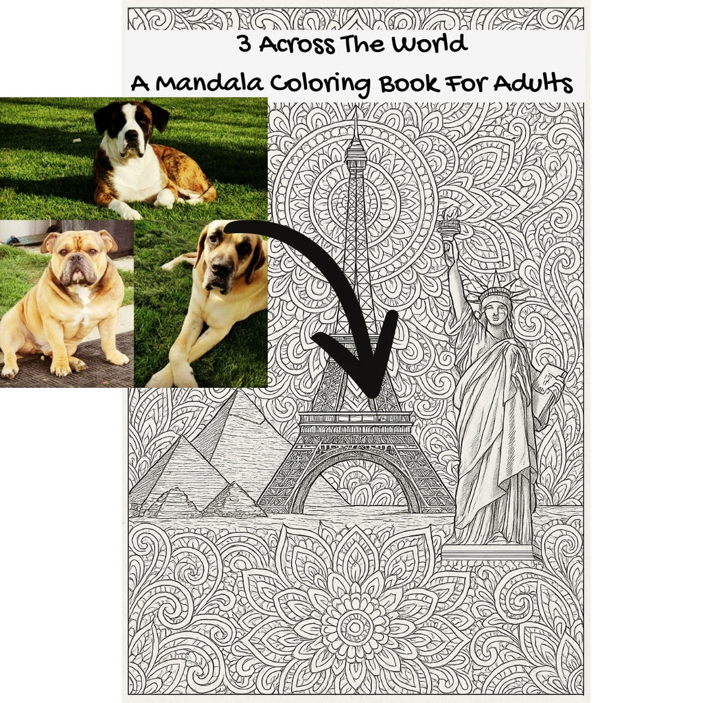 3 Across The World: A Mandala Coloring Book For Adults