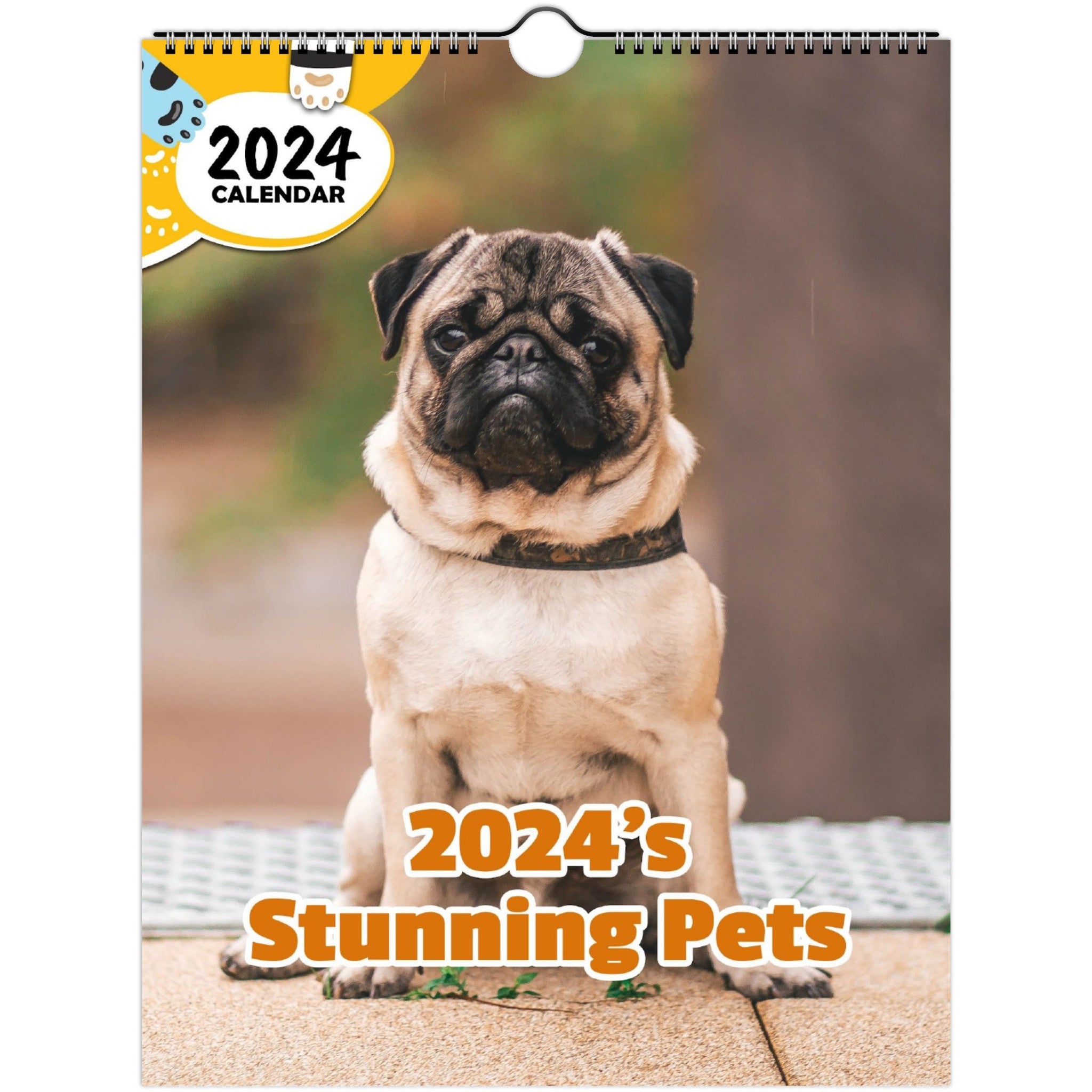 2024's Stunning Pets: 2024 Wall Calendar (Published)