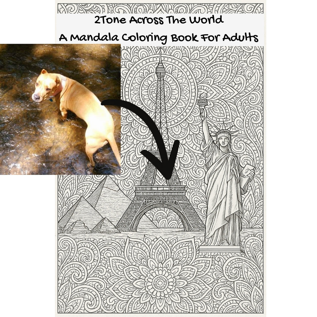 2Tone Across The World: A Mandala Coloring Book For Adults