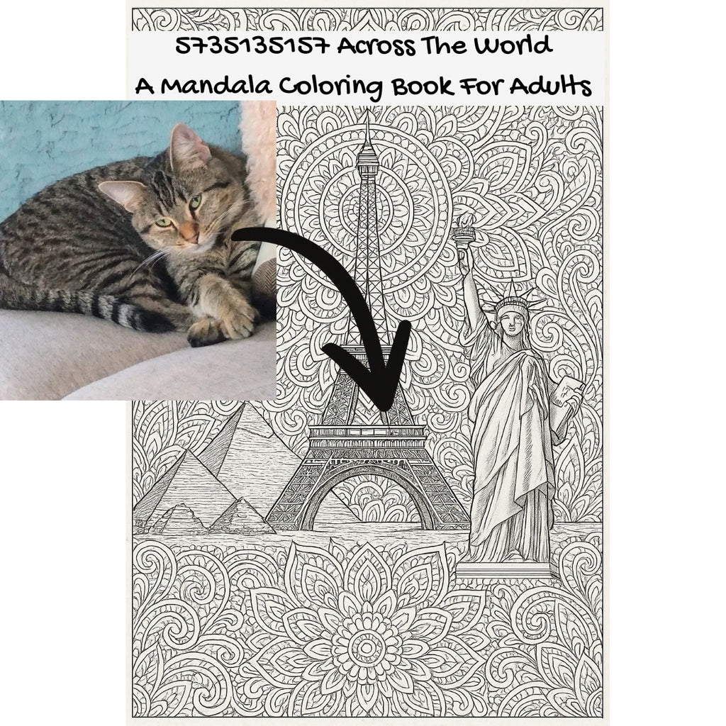 5735135157 Across The World: A Mandala Coloring Book For Adults
