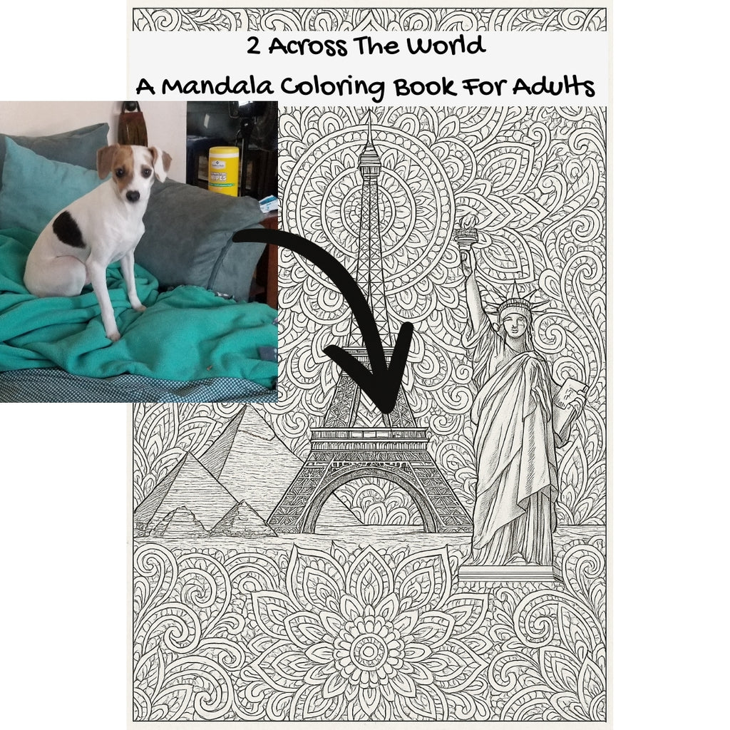 2 Across The World: A Mandala Coloring Book For Adults