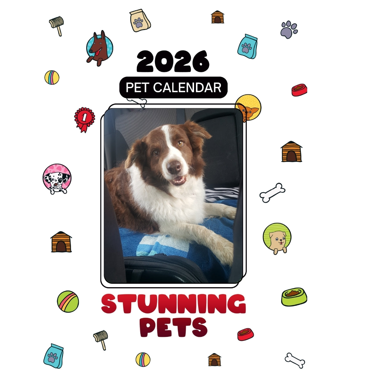 1 Headlines Stunning Pets: A 2026 Pet Calendar