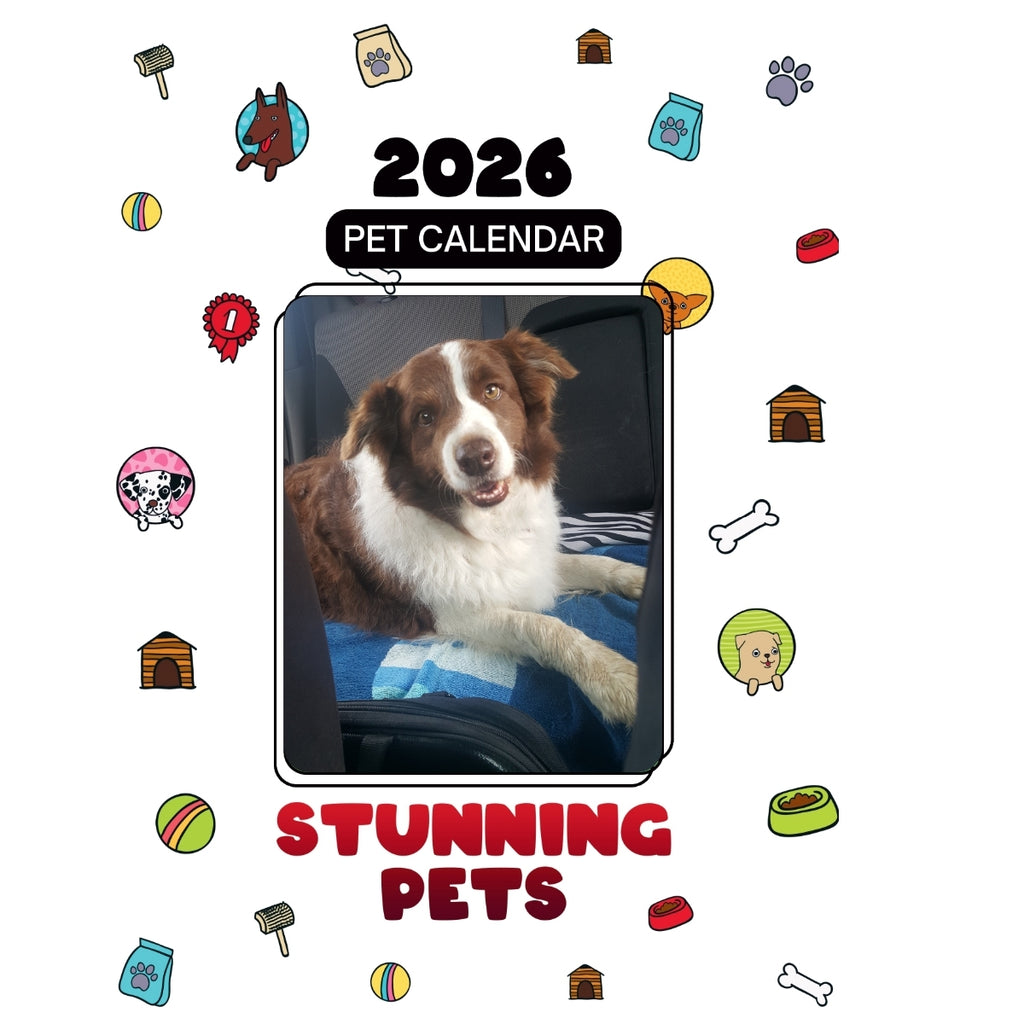 1 Headlines Stunning Pets: A 2026 Pet Calendar