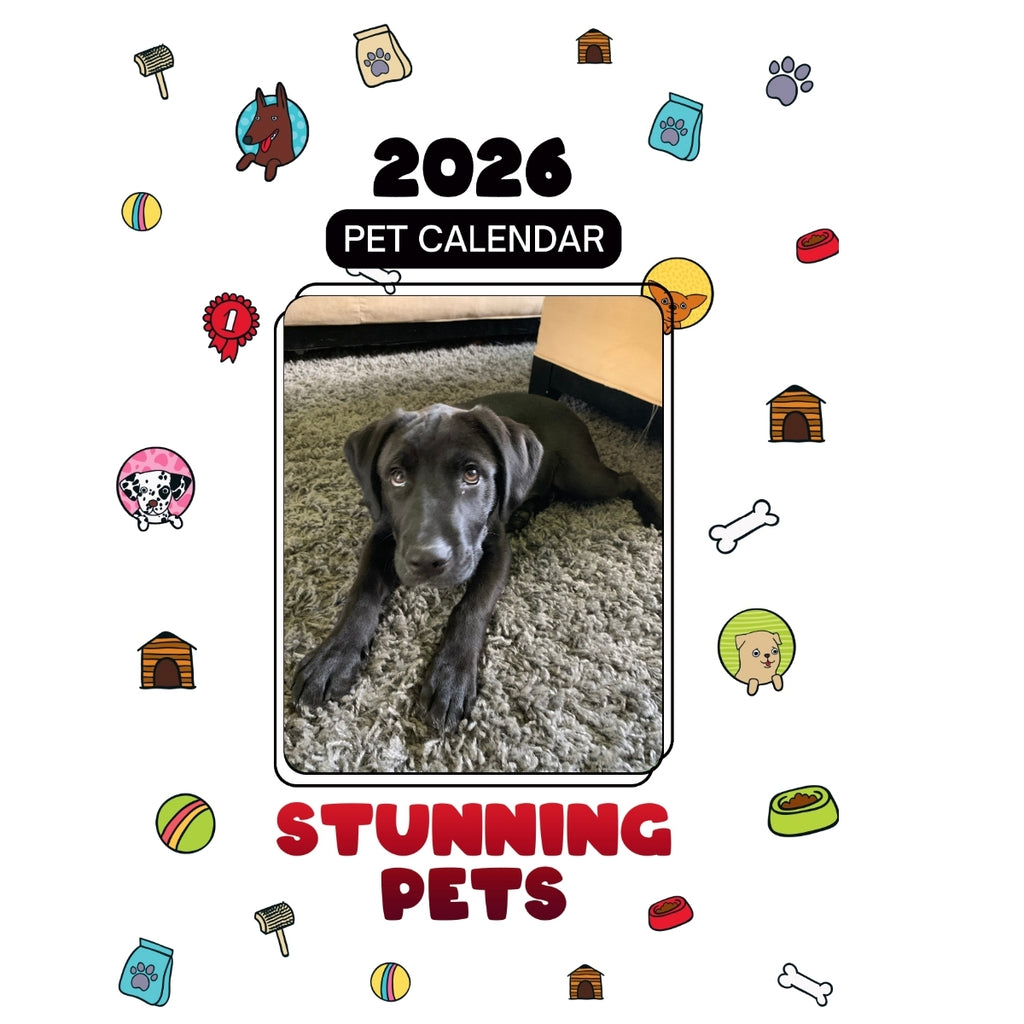 8604884799 Headlines Stunning Pets: A 2026 Pet Calendar