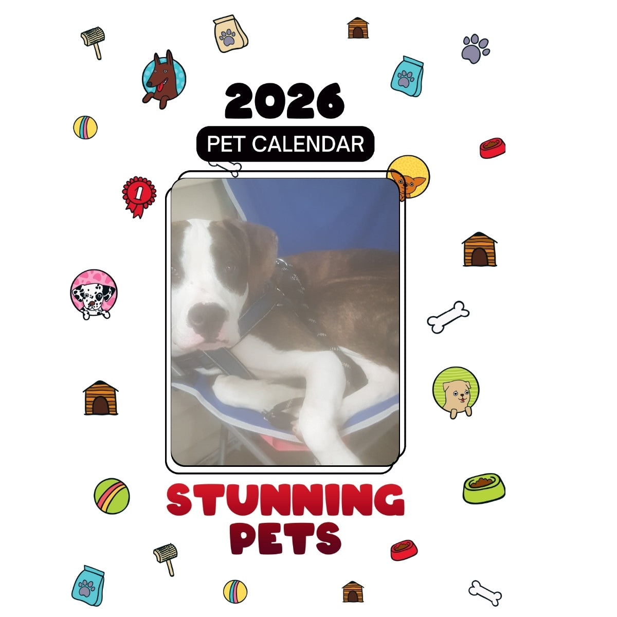 1 Headlines Stunning Pets: A 2026 Pet Calendar