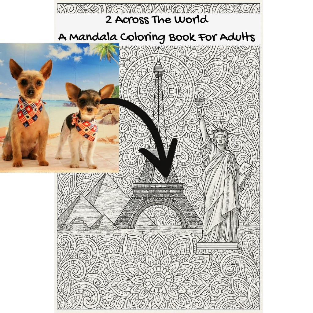 2 Across The World: A Mandala Coloring Book For Adults