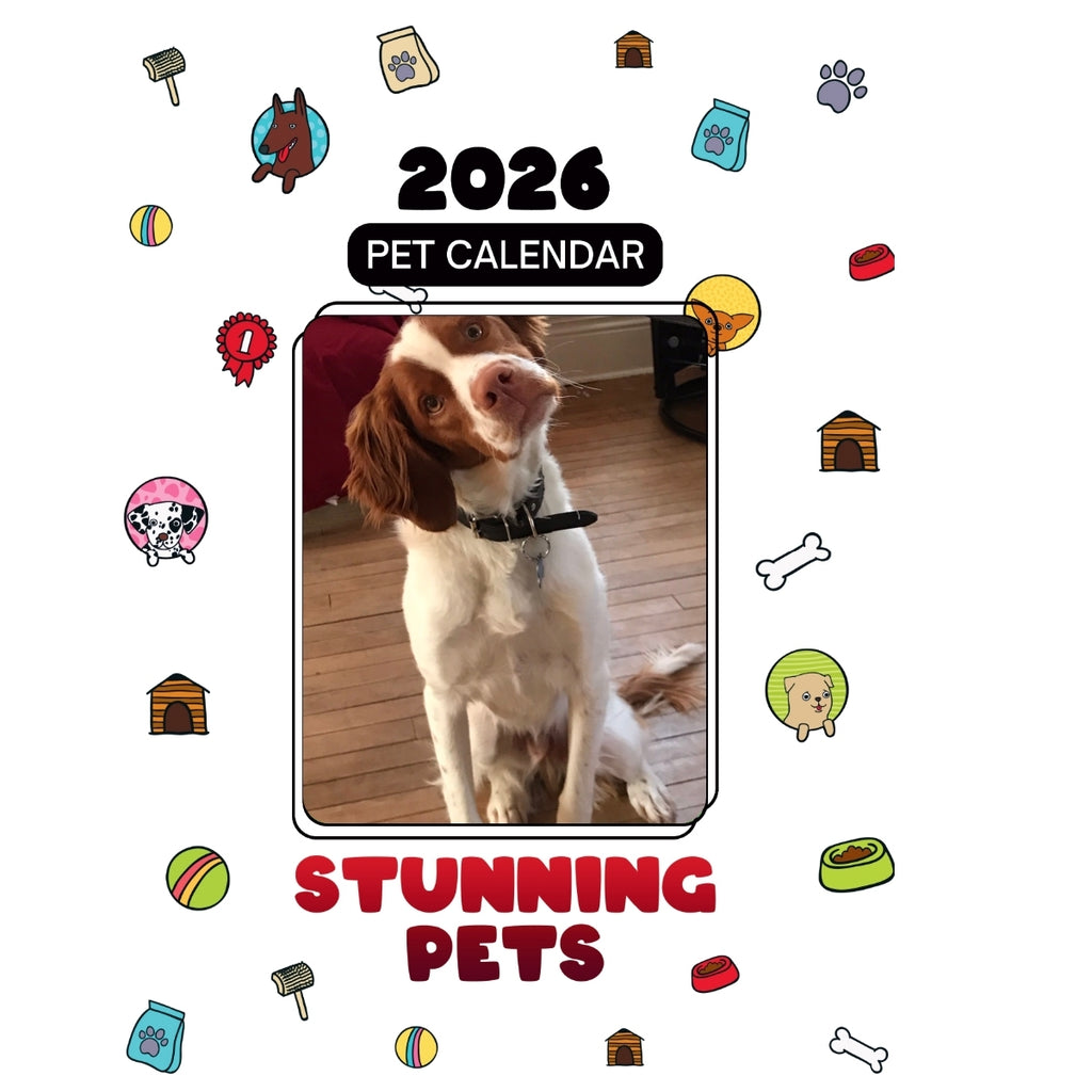 1 pet Headlines Stunning Pets: A 2026 Pet Calendar