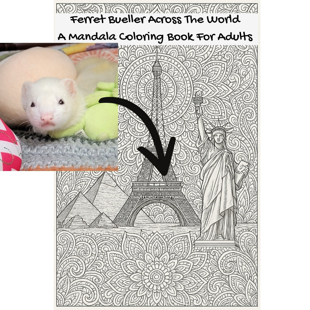 Ferret Bueller Across The World: A Mandala Coloring Book For Adults