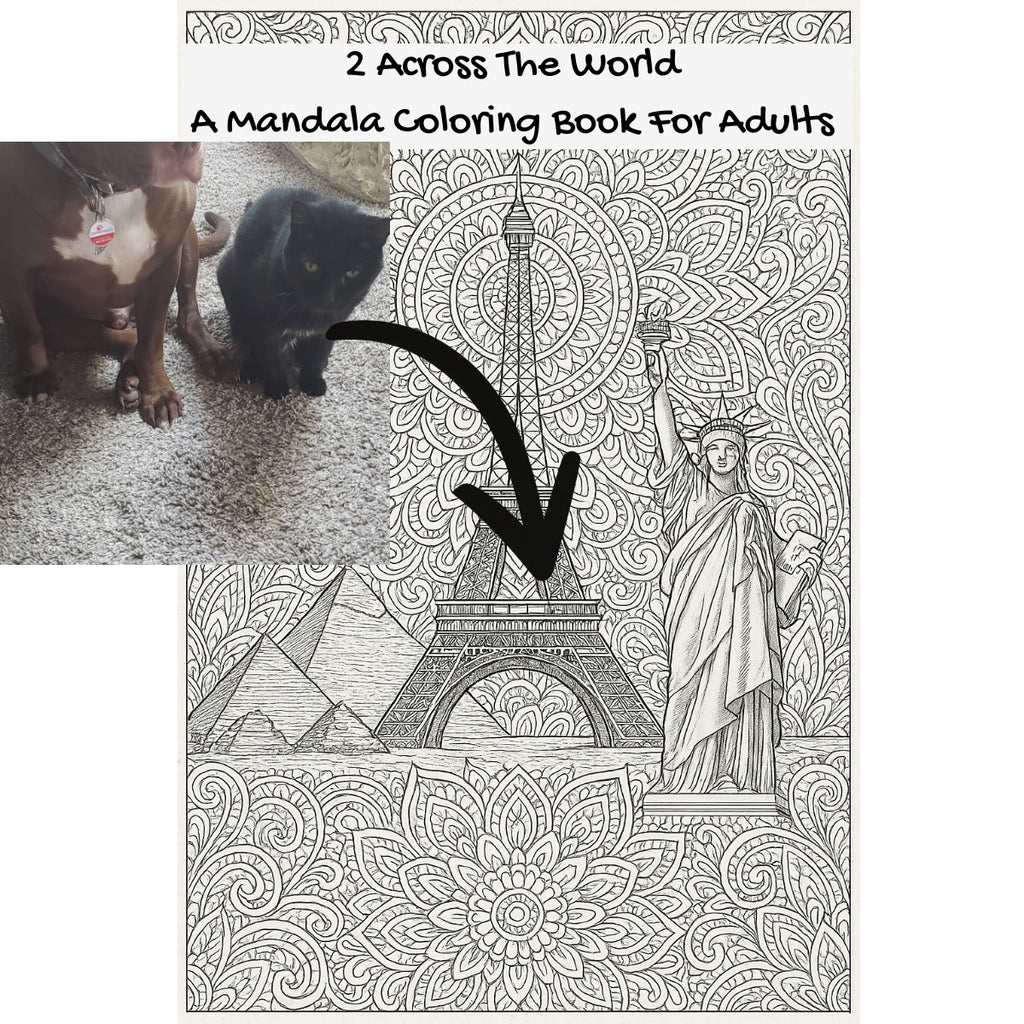 2 Across The World: A Mandala Coloring Book For Adults