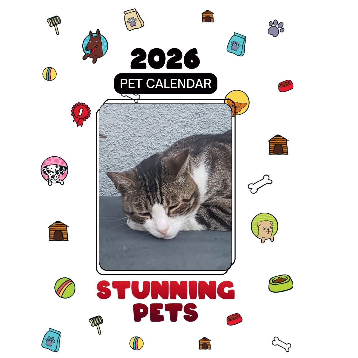 Stuart Headlines Stunning Pets: A 2026 Pet Calendar