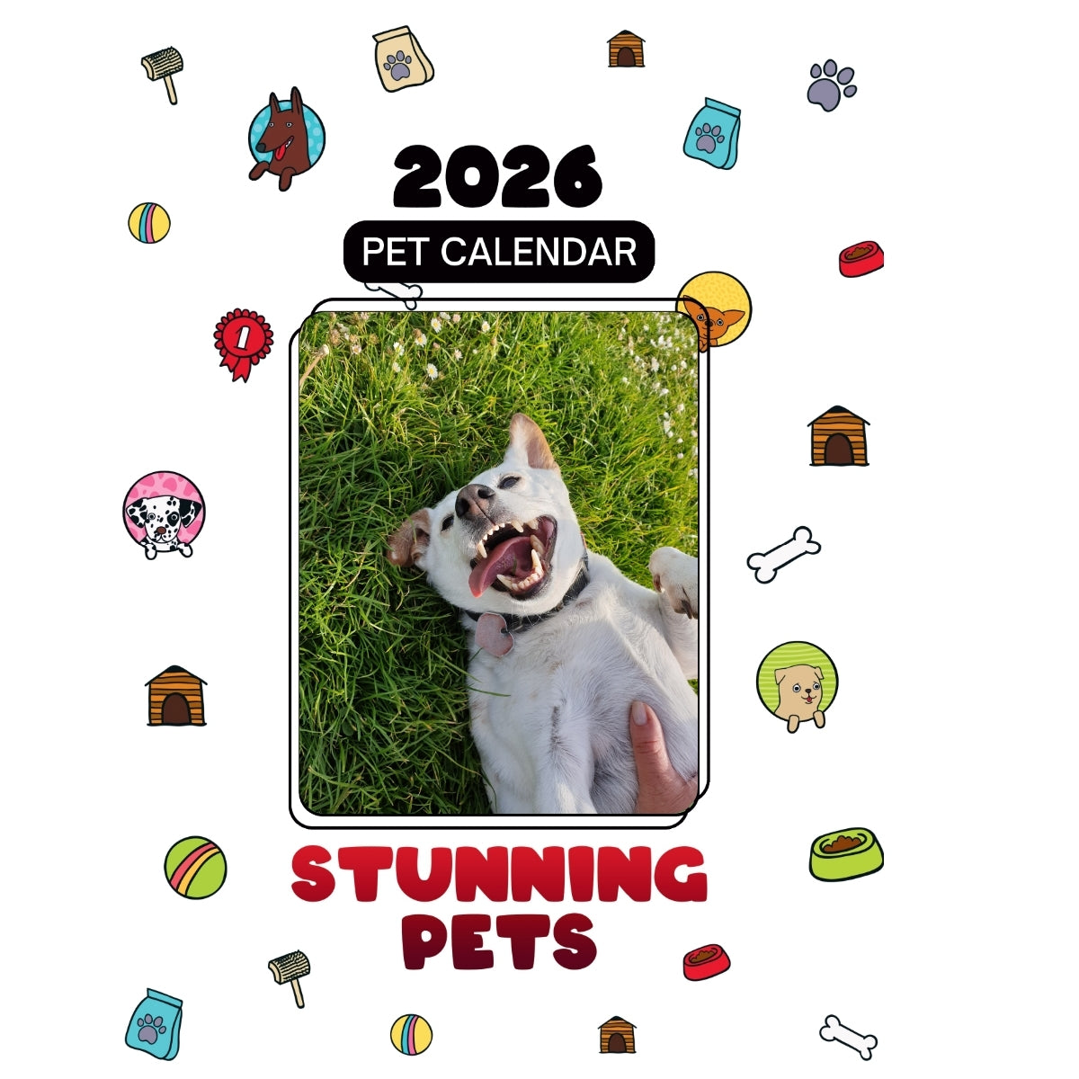 1 Headlines Stunning Pets: A 2026 Pet Calendar