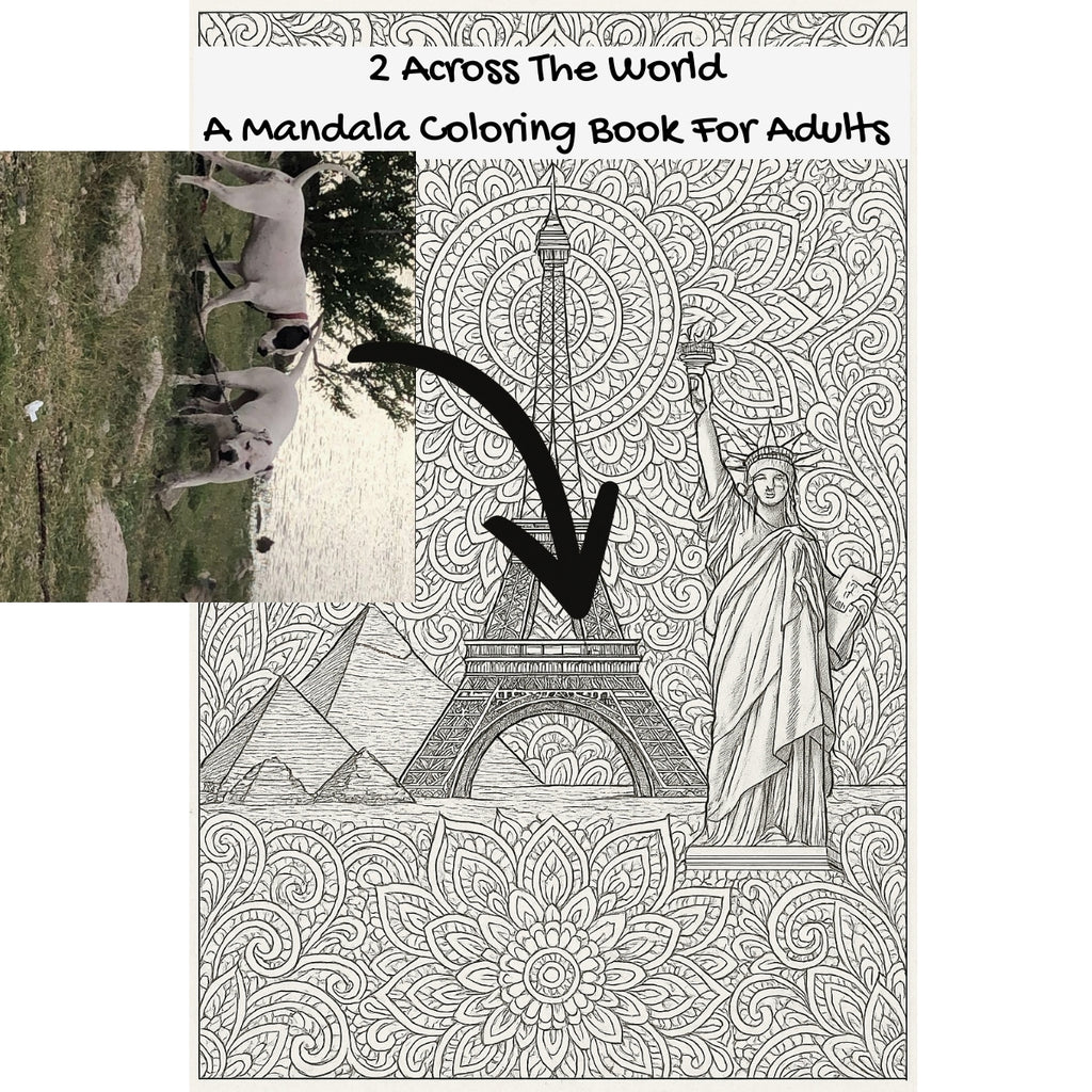2 Across The World: A Mandala Coloring Book For Adults